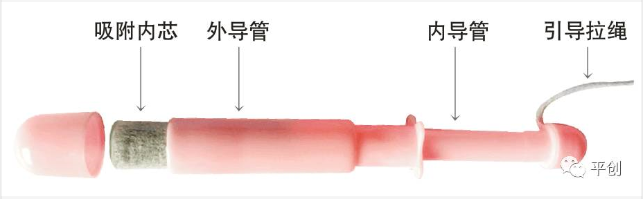 陰道填塞內 陰道填塞內