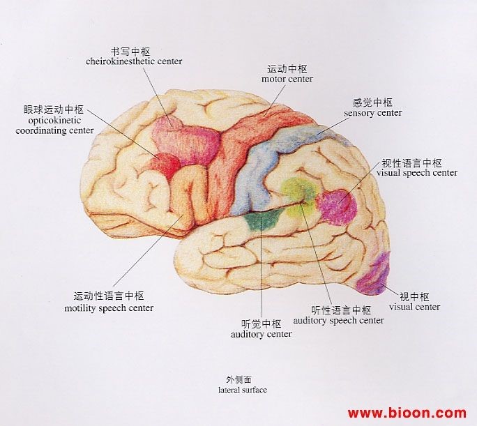 醫用一次性灌腸器 醫用一次性灌腸器