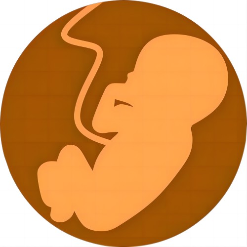 胎兒 胎兒